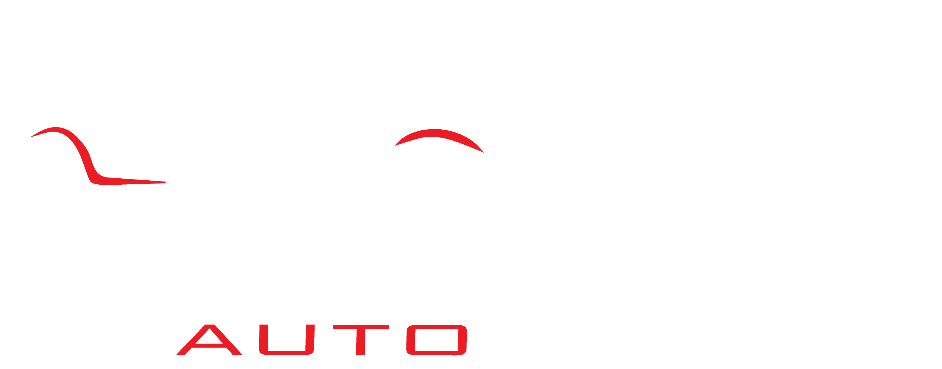 PansiniAutoSpa Logo-01